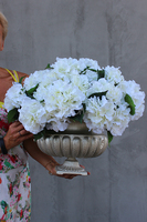 Carlos kompozycja kwiatowa z hortensji, wys.48cm