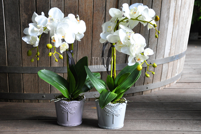 Dragonfly 2 sztuczny storczyk w bieli, szara donica wys. ok. 49cm 