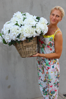 kosz Flowers Provance z białymi hortensjami wys.55cm