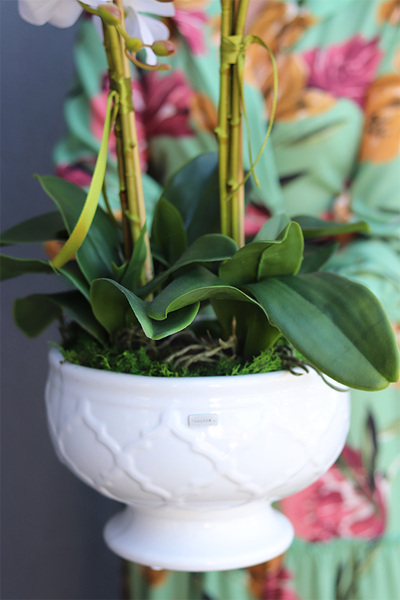 elegancki biały storczyk w ceramicznej donicy, Ronella, wys.64cm