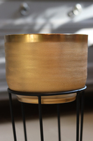 Goldie, osłonka metalowa na stojaku, wym.37x19.5cm