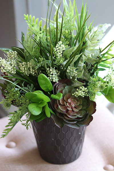 atrakcyjna kompozycja sukulenty Millani, wys.38cm