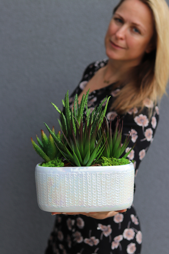 Menilla, kompozycja sukulenty w perłowej donicy, wys.30cm