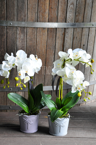 Dragonfly 2 sztuczny storczyk w bieli, szara donica wys. ok. 49cm 