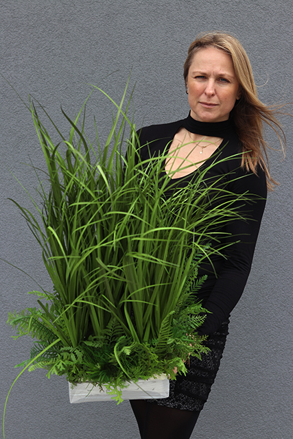 Minolla, nowoczesna kompozycja traw i sukulentów, wys.78cm