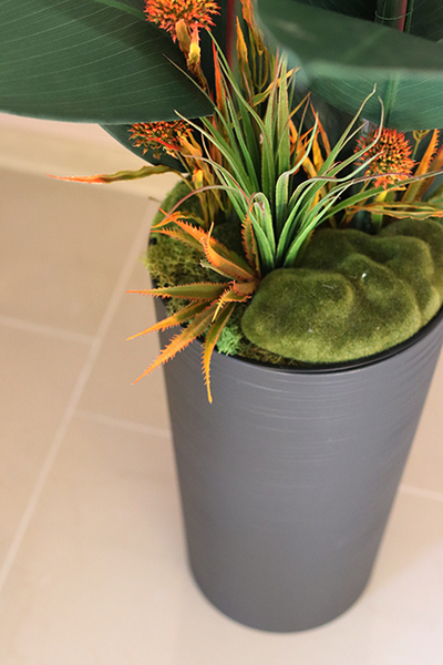 oryginalna kompozycja Strelicja Genassa, wym.145cm 