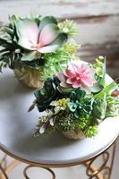 efektowna kompozycja sukulenty, GoldenRose,wys.19cm