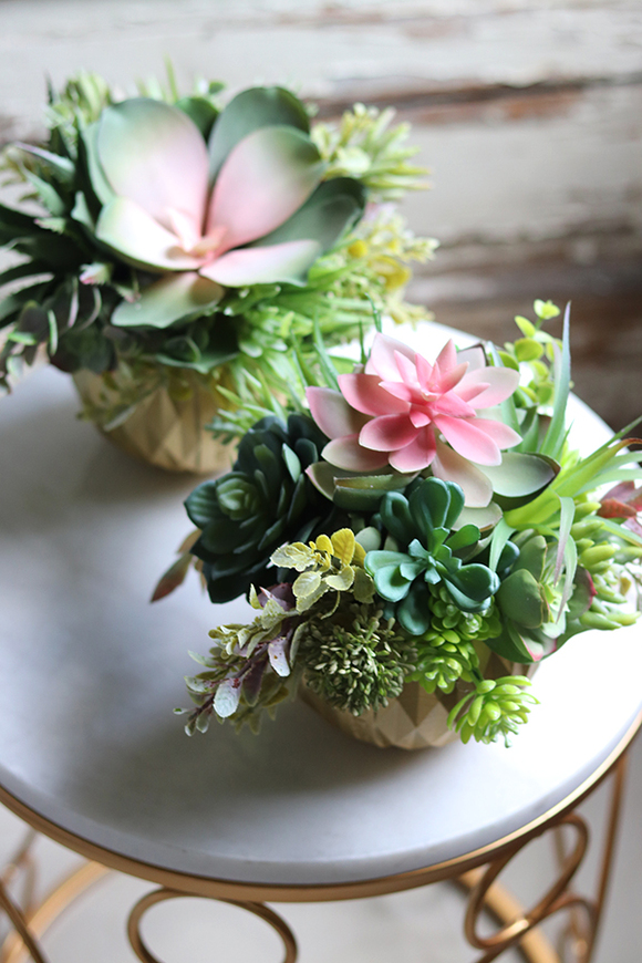 efektowna kompozycja sukulenty, GoldenRose,wys.19cm