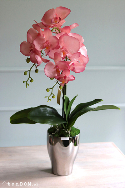 Luciende, różowy storczyk w srebrnej donicy wys.64cm