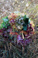 Jesienna Hortensja wianek na drzwi, śr.28cm