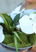 kompozycja kwiatowa Mini Dekoria w srebrnej misie, wys.22cm