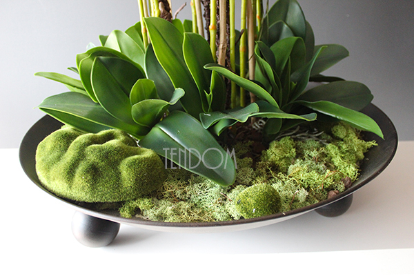 bardzo duży storczyk Fire Grande, wys.80cm 