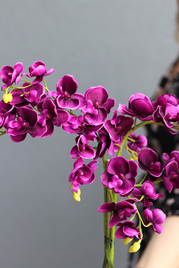 różowy storczyk Lukrecja, wys.60cm