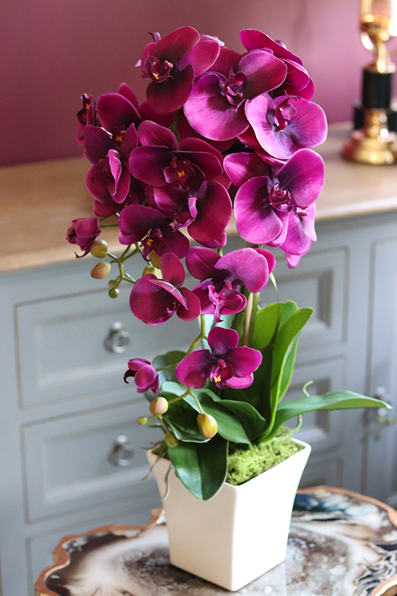 fioletowy storczyk w ceramicznej donicy, Leminato, wys.63cm 