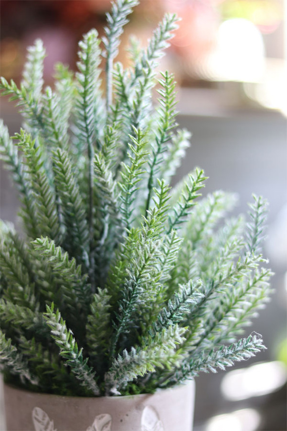 Trentia, wysokiej jakości sztuczne sukulenty w betonowej donicy, wys.40cm