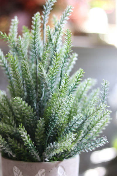 Trentia, wysokiej jakości sztuczne sukulenty w betonowej donicy, wys.40cm