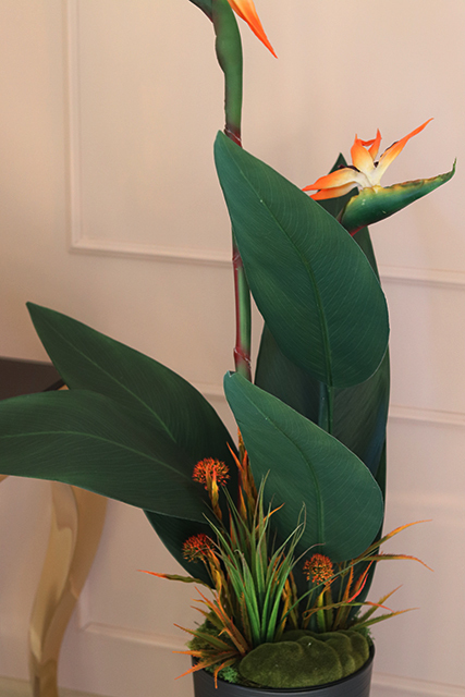 oryginalna kompozycja Strelicja Genassa, wym.145cm 