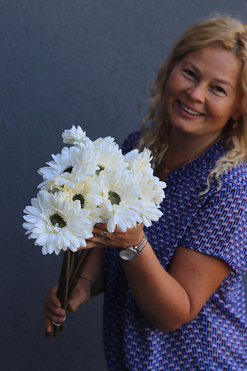 Gerbery Flamenco, bukiet kremowych kwiatów, dł.51cm