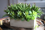 Suana, kompozycja ze sztucznych sukulentów w betonowej donicy, wys.20cm