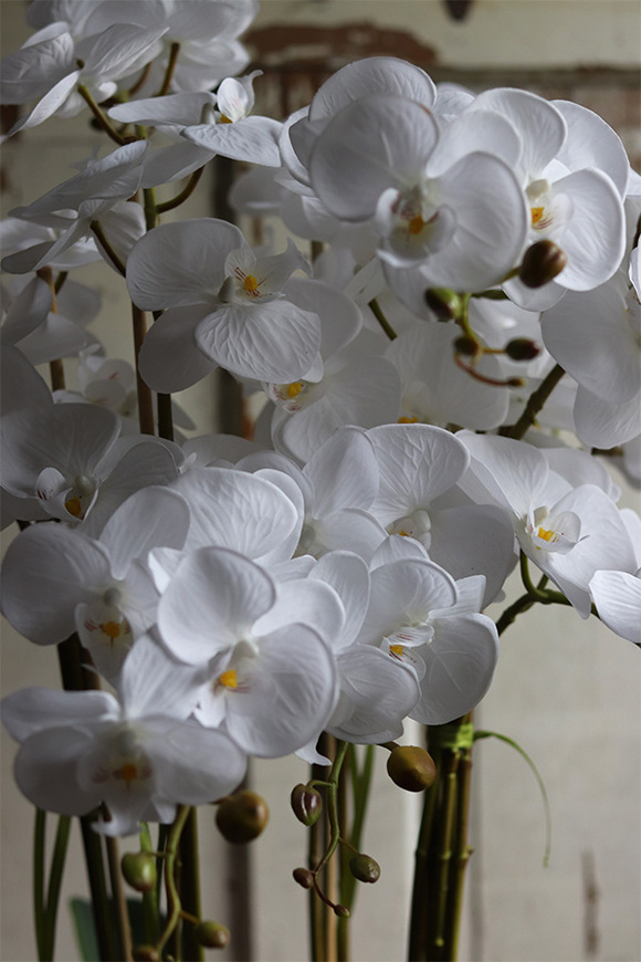 dużych rozmiarów storczyk podłogowy, Pink, wys.120cm 