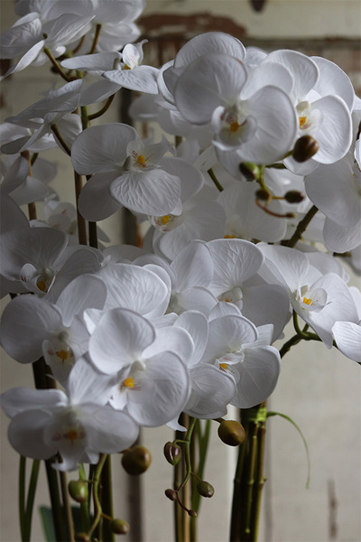 dużych rozmiarów storczyk podłogowy, Pink, wys.120cm 