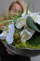 Deko Storczyk kompozycja kwiatowa w cynowanym ekskluzywnym naczyniu, śr.28cm