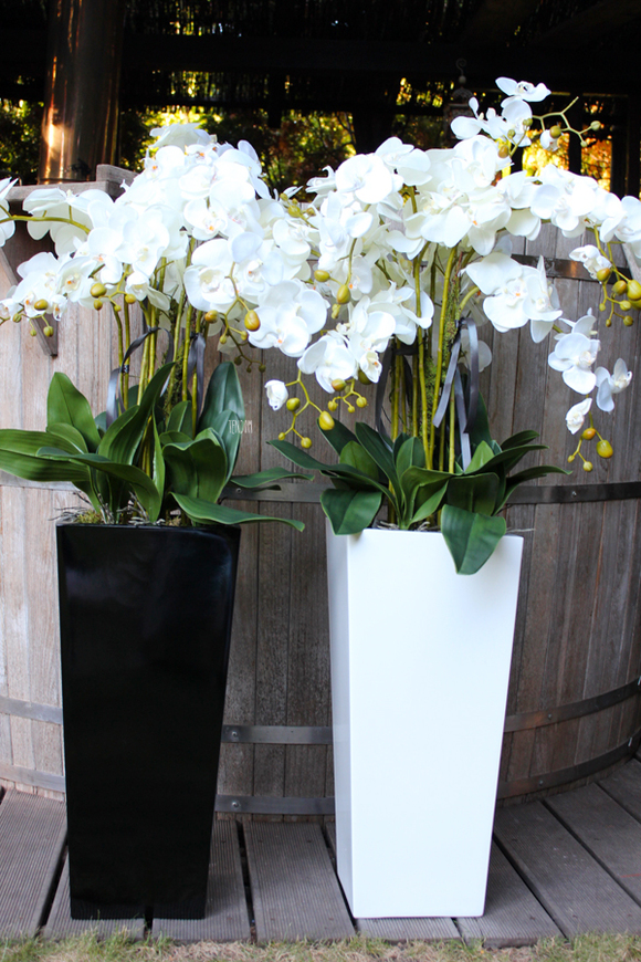 bardzo duży storczyk Home Design White Grande w donicy, wys.125cm 