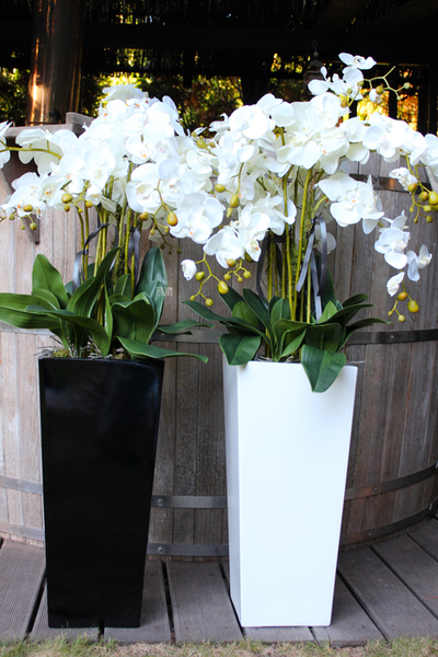 bardzo duży storczyk Home Design White Grande w donicy, wys.125cm 