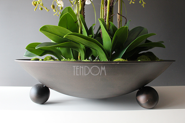 bardzo duży storczyk Fire Grande, wys.80cm 