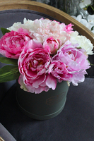 Alisa, kompozycja kwiatowa / bukiet Flowerbox, wys.38cm