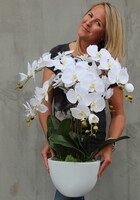 Cinderella Big, elegancki storczyk w białej donicy, wys.74cm