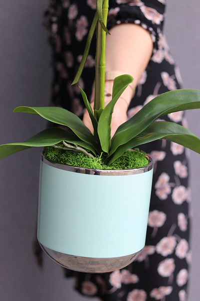 różowy storczyk Lukrecja, wys.60cm