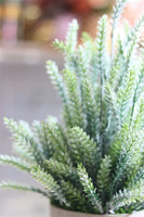 Trentia, wysokiej jakości sztuczne sukulenty w betonowej donicy, wys.40cm