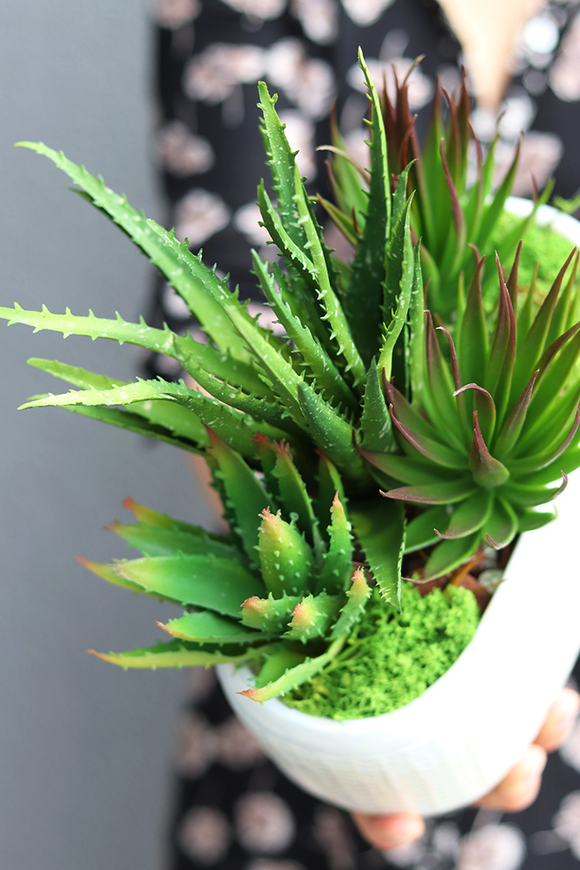 Menilla, kompozycja sukulenty w perłowej donicy, wys.30cm