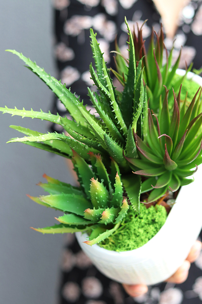 Menilla, kompozycja sukulenty w perłowej donicy, wys.30cm