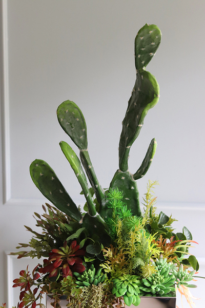 Acapulco Grande Mirror Premium, sukulenty z kaktusem w stalowej donicy, wys.91cm