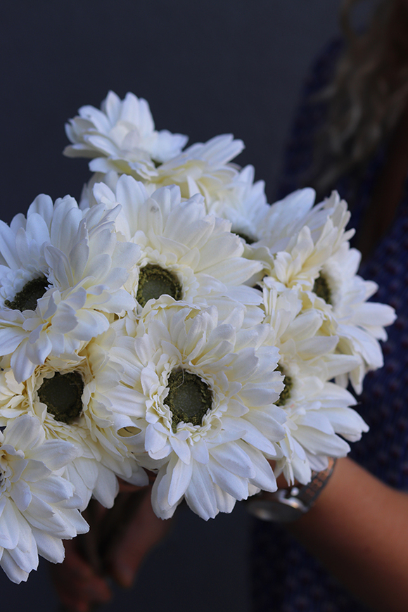 Gerbery Flamenco, bukiet kremowych kwiatów, dł.51cm