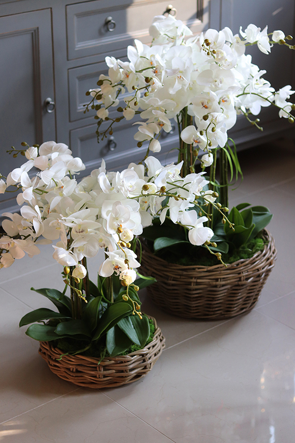 efektowny storczyk w wiklinowym koszu, Rattania Small, wys.57cm 