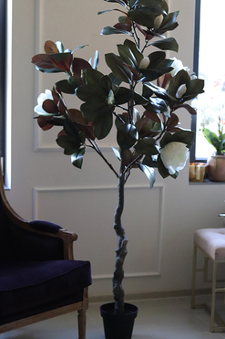 Drzewko Magnolia, sztuczne drzewo z gumowymi kwiatami, wys.174cm