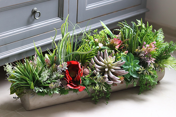 kompozycja sukulenty w długiej donicy, Hektor Togalla, dł.70cm  