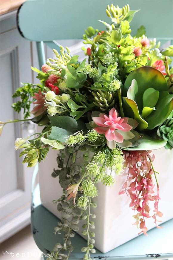 Concha Cacti, sukulenty w donicy fiberglass, wym.50x40cm