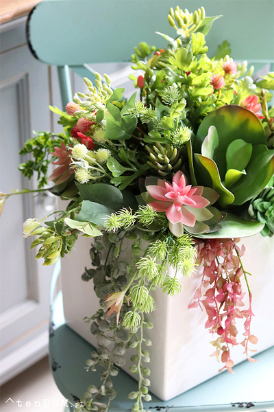 Concha Cacti, sukulenty w donicy fiberglass, wym.50x40cm