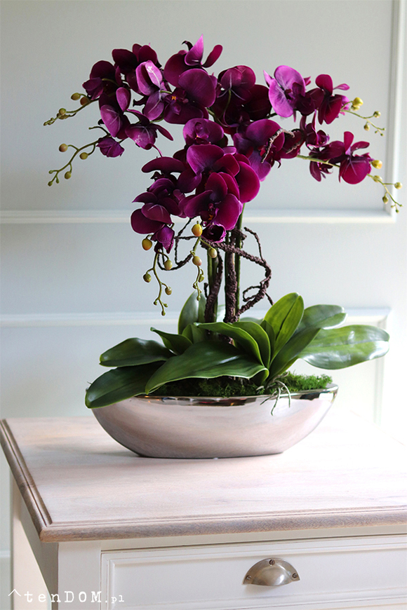 Laos Paloma, fioletowy storczyk w lustrzanej donicy, wys.62cm