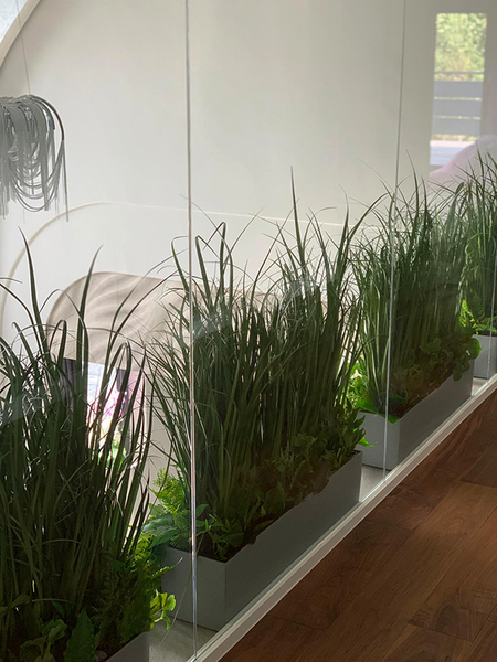 Balconera Ferina, ekskluzywna kompozycja z trawami w donicy, wys.95cm