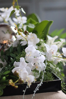 efektowna kompozycja kwiatowa na tacy, Telicja Silver, wys.24cm.