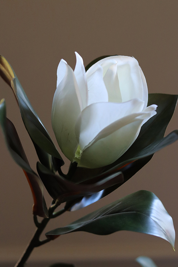 Drzewko Magnolia, sztuczne drzewo z gumowymi kwiatami, wys.174cm