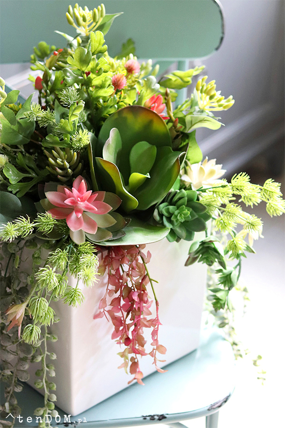 Concha Cacti, sukulenty w donicy fiberglass, wym.50x40cm