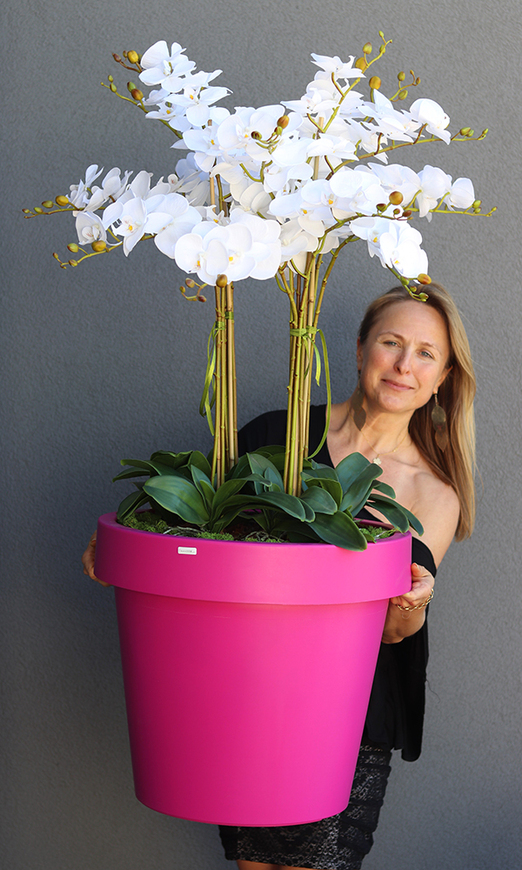 dużych rozmiarów storczyk podłogowy, Pink, wys.120cm 