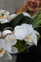 Deko Storczyk kompozycja kwiatowa w cynowanym ekskluzywnym naczyniu, śr.28cm