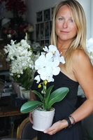 Dragonfly 2 sztuczny storczyk w bieli, szara donica wys. ok. 49cm 